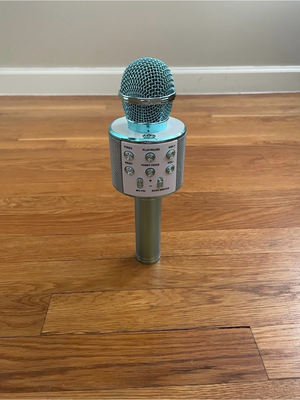 microphone